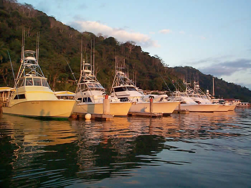 Banana Bay Marina