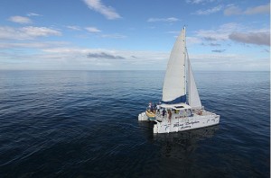 Blue Dolphin Sailing Catamaran on blue water