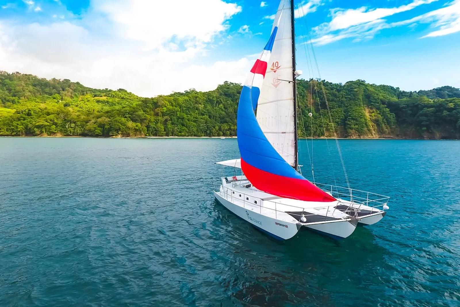 The King Catamaran's Sealounge catamaran under a red, white and blue sail on a calm bay with forested hills behind