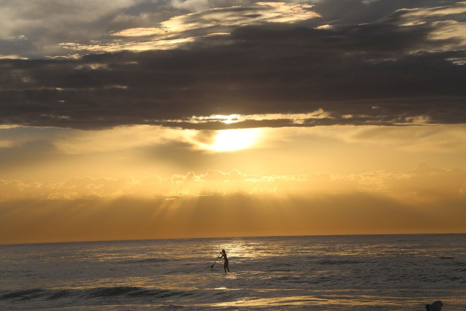 A stand-up paddler on the water at dawn