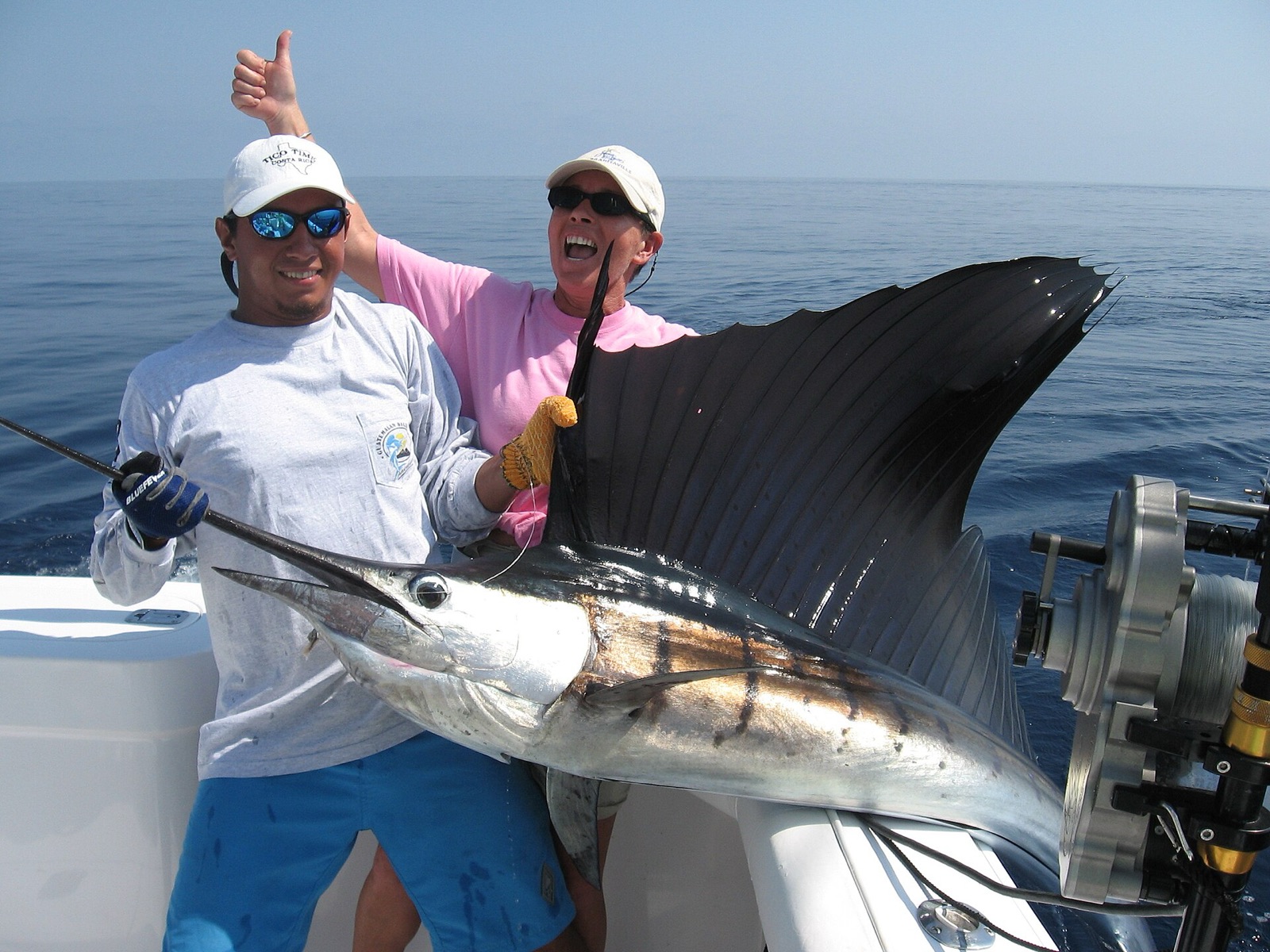 A sailfish brought aboard a fishing charter off the Central Pacific coast